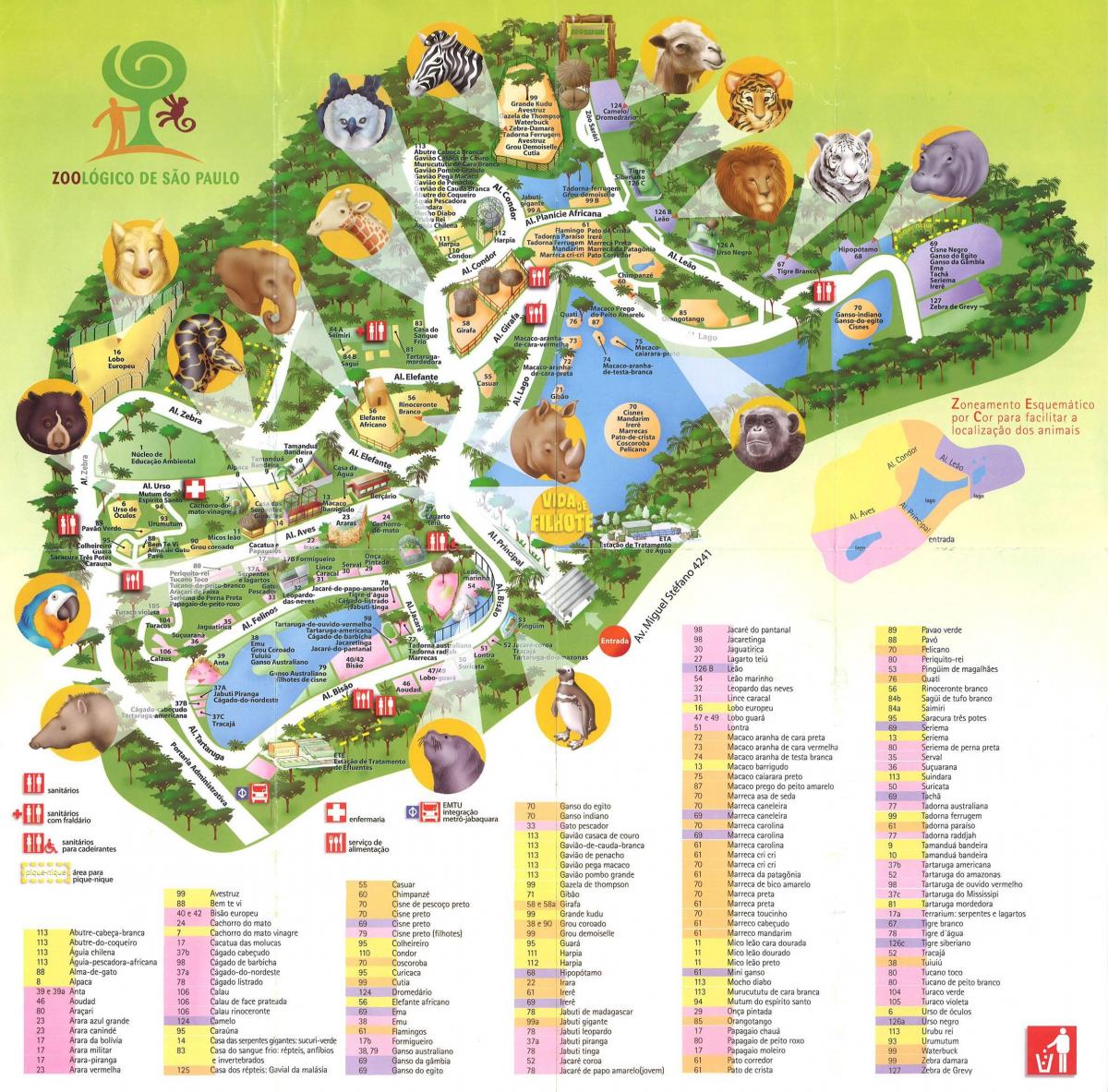 Карта зоологический парк Сан-Паулу