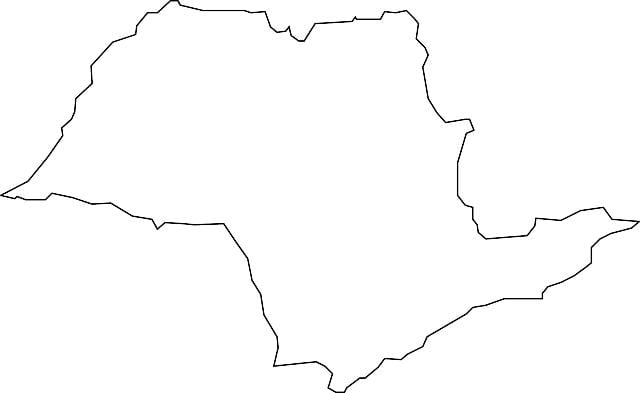 Карта Сан-Паулу вектор